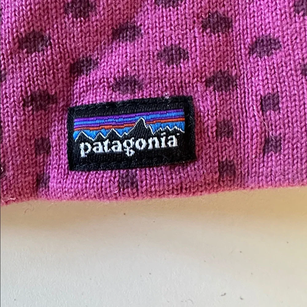 Patagonia Fleece Lined Winter Hat
